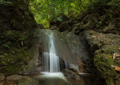 Jungle waterfall hike from beachfront lodge in Matapalo, Costa Rica