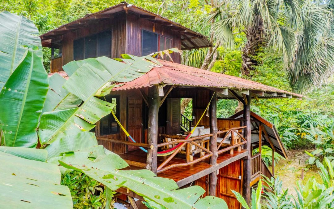 Osa Peninsula Travel and Stay: The 2026 Immersion Guide
