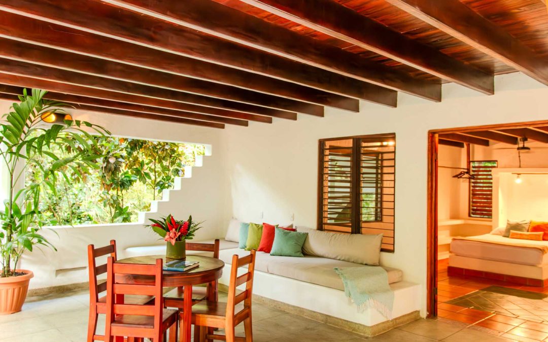 The Forgotten Wild: Why Casa Olas is the Heart of Matapalo