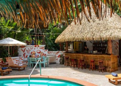 Costa Rica Eco-Lodge in the Osa Peninsula - Yoga, Birding, Sportfishing Retreat