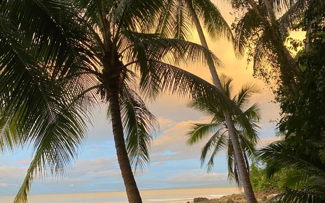 beachfront hotel Osa Peninsula