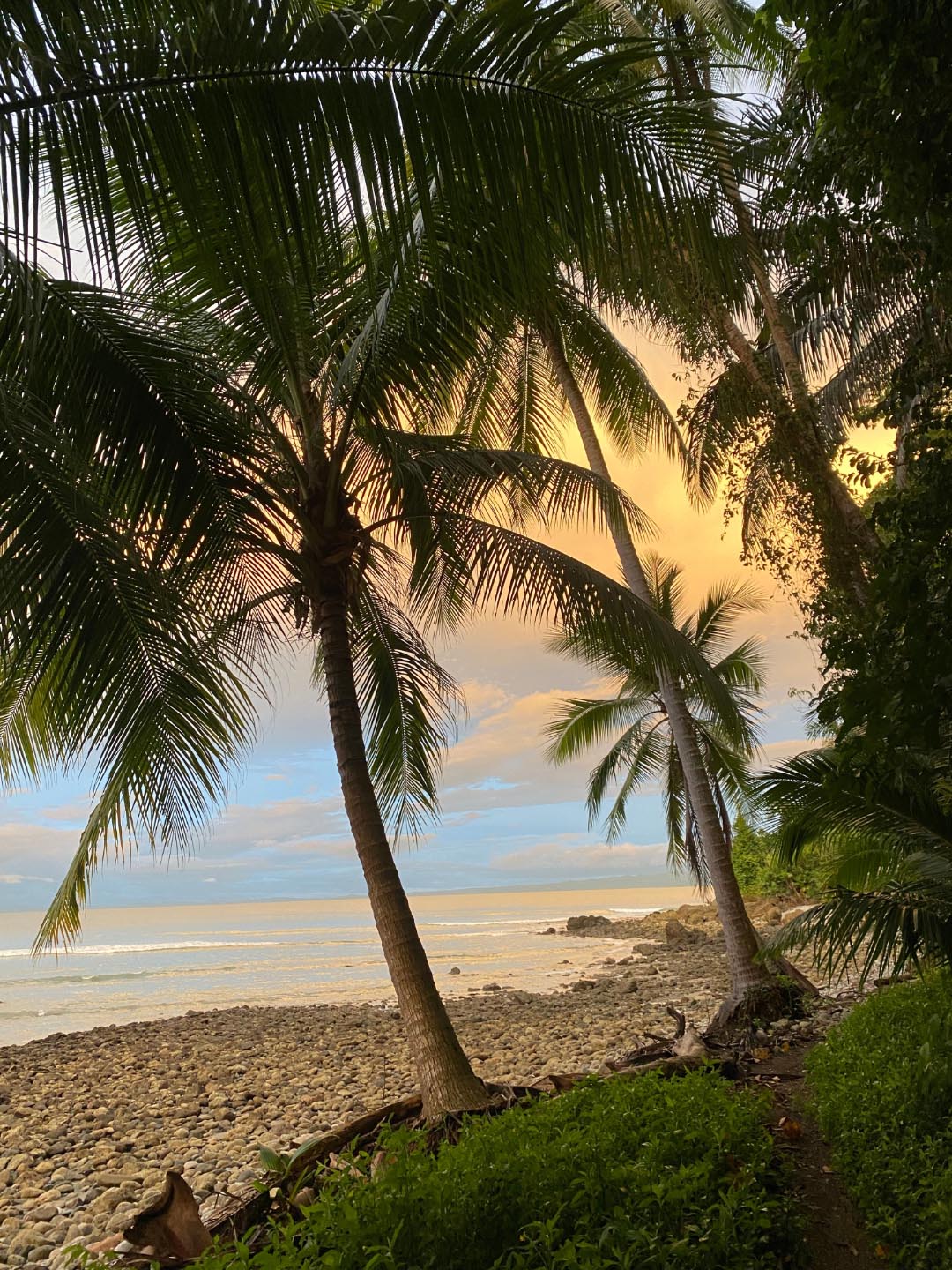 View of Encanta La Vida, the premier beachfront hotel Osa Peninsula, with lush jungle and Pacific waves.