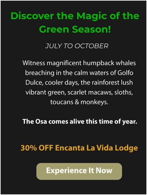 Explore Osa Peninsula travel deals at Encanta La Vida Lodge with rainforest adventures, whale watching, and world-class fishing.