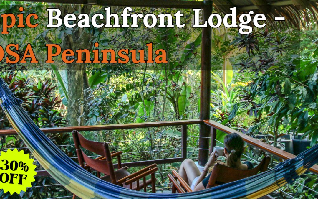 Osa Peninsula’s Top Beachfront Hotel and Lodge